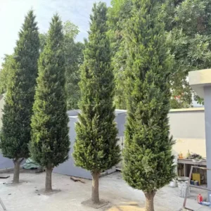 Large Artificial Cypress Tree